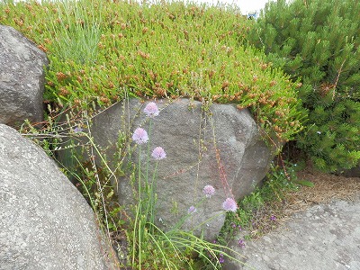 e0004756_19492038.jpg