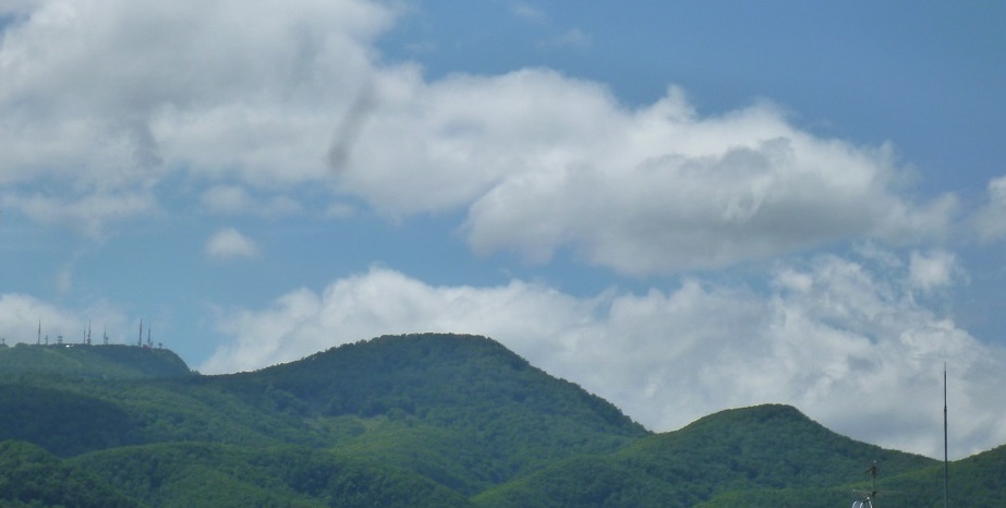 a0193457_18592920.jpg