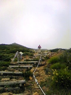 b0086858_2331432.jpg