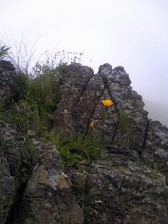 b0086858_23641.jpg