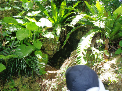 c0180460_0161272.jpg