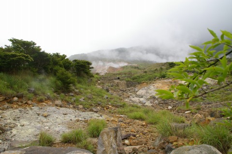 e0045768_223312.jpg
