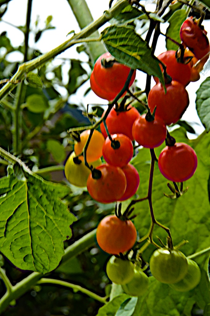 a0262369_1020921.jpg