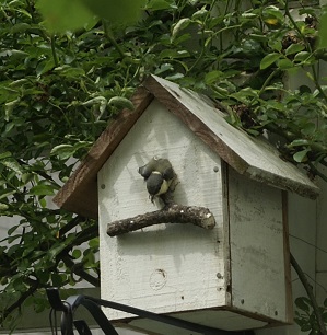 f0166982_22135919.jpg