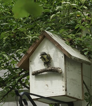 f0166982_22143198.jpg