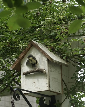 f0166982_2219621.jpg