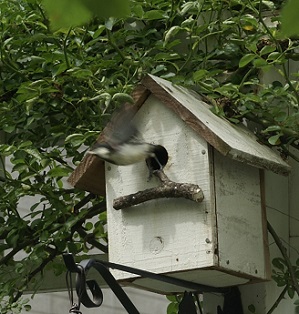 f0166982_2222585.jpg