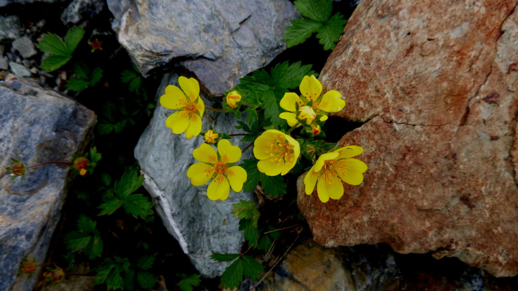 f0222687_843424.jpg
