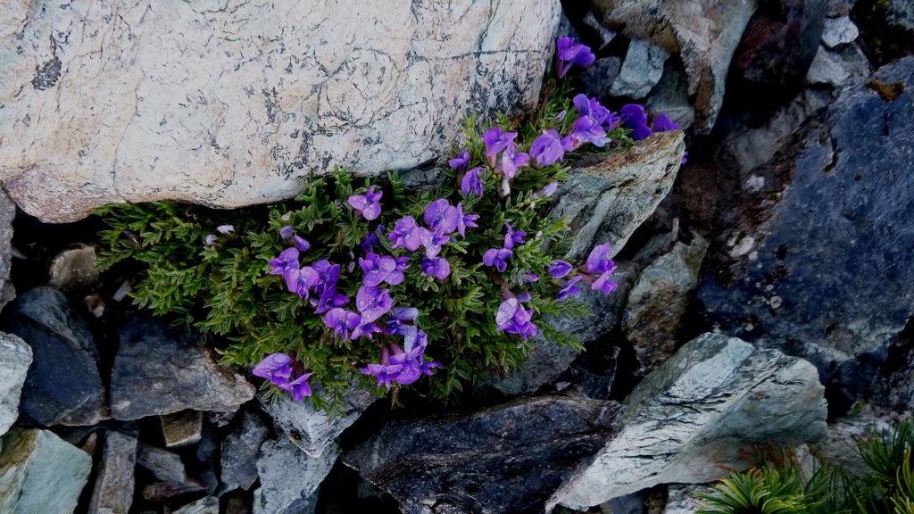 f0222687_8454736.jpg