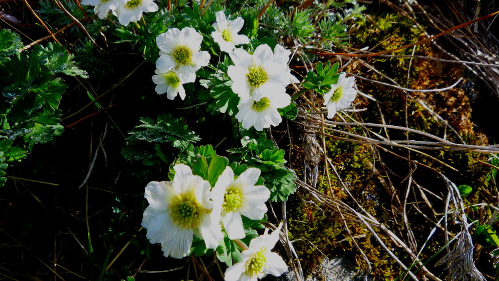 f0222687_8474618.jpg