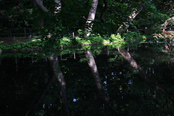 f0001895_17162760.jpg