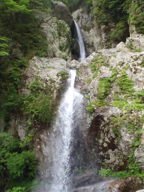 c0147398_1172553.jpg