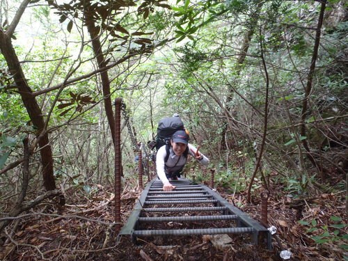 c0147398_1181969.jpg