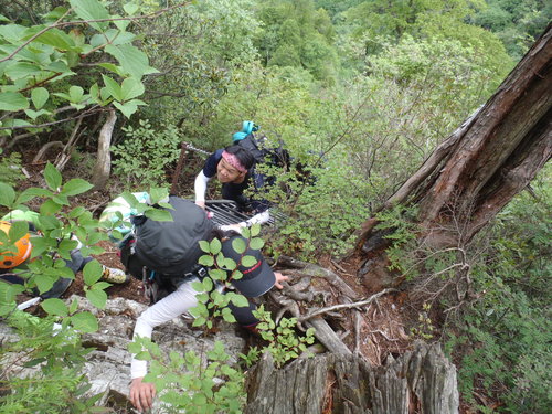 c0147398_1182755.jpg