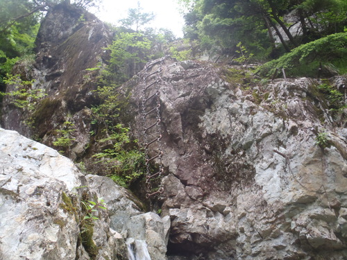 c0147398_1203936.jpg
