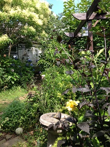 e0233111_71696.jpg