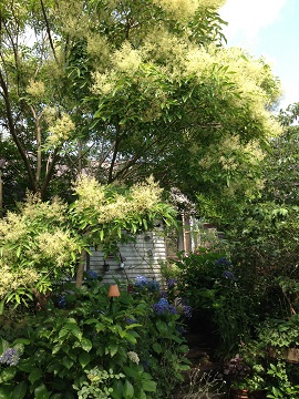 e0233111_765696.jpg