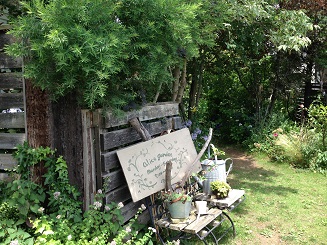 e0233111_775370.jpg