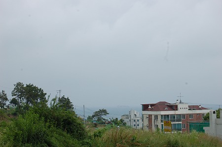 f0199511_22364753.jpg
