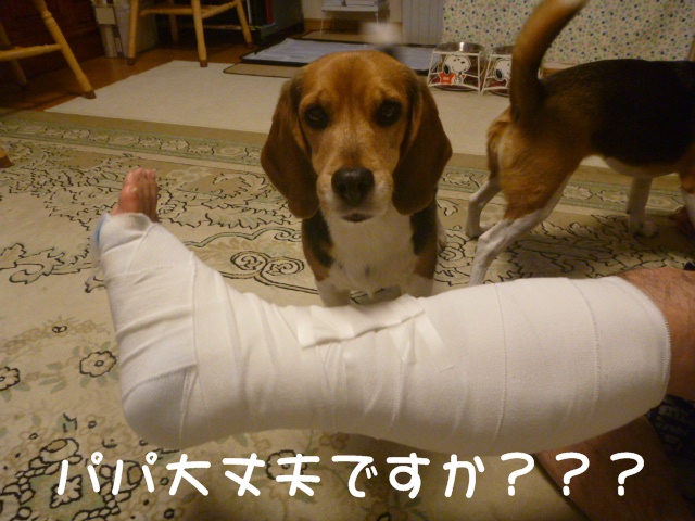 c0166622_151926100.jpg