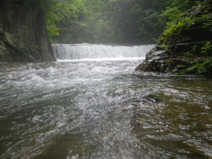 d0257922_1013282.jpg