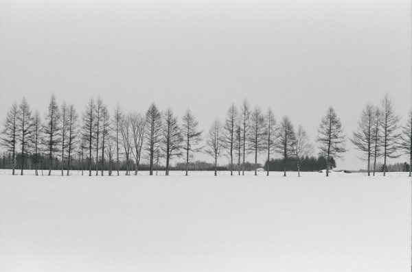 f0182924_075785.jpg