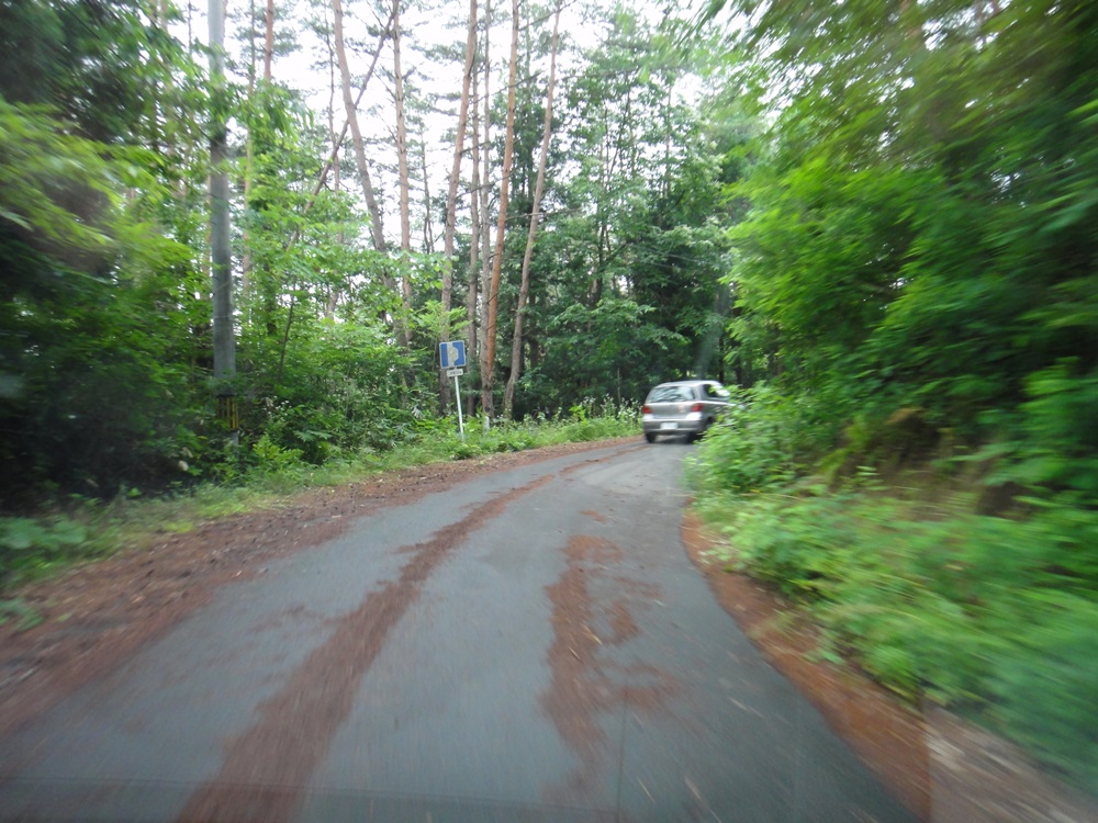 c0111229_17261520.jpg