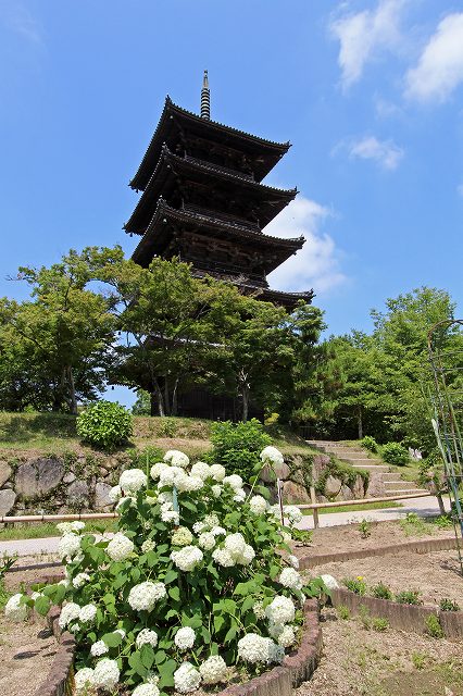 a0242438_17411539.jpg