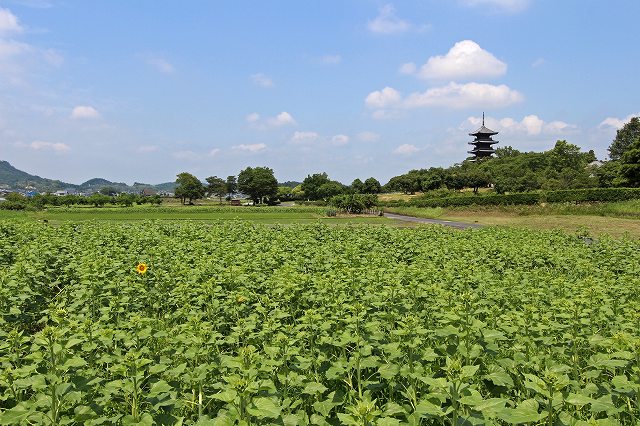 a0242438_1742981.jpg