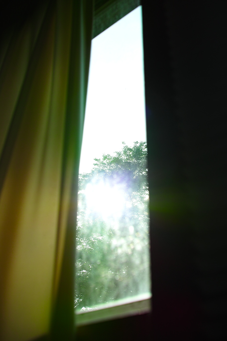 a0049639_1713815.jpg