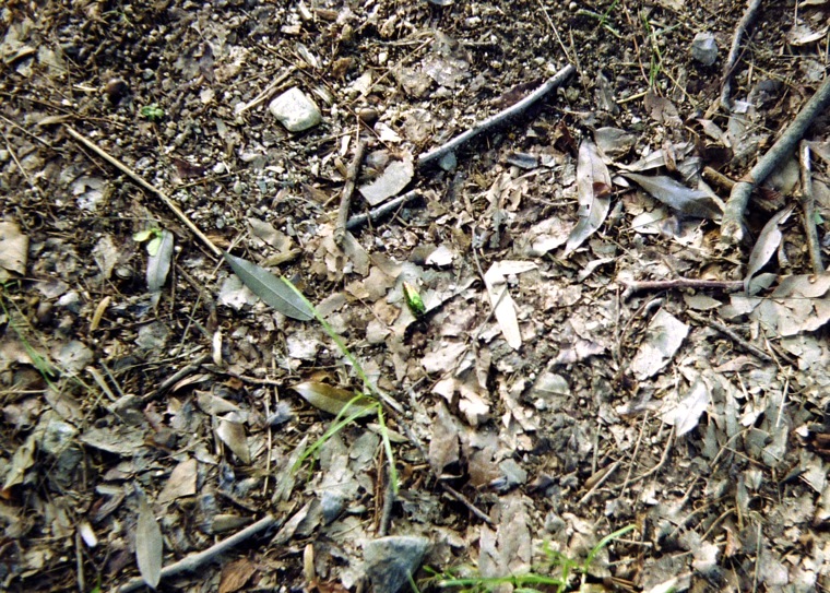 d0089742_23562999.jpg
