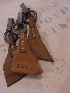 c0165744_13262854.jpg