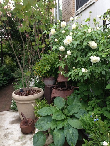 e0159050_120150.jpg