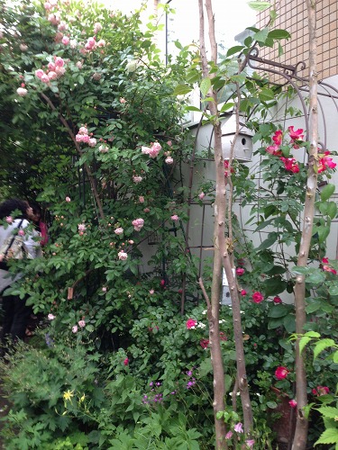 e0159050_127616.jpg