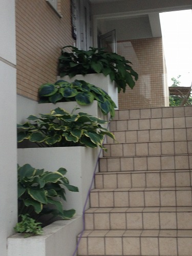 e0159050_1281895.jpg