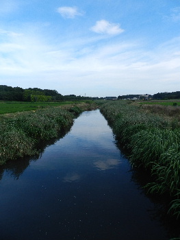 e0172950_2046245.jpg