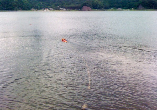 b0005652_20502638.jpg
