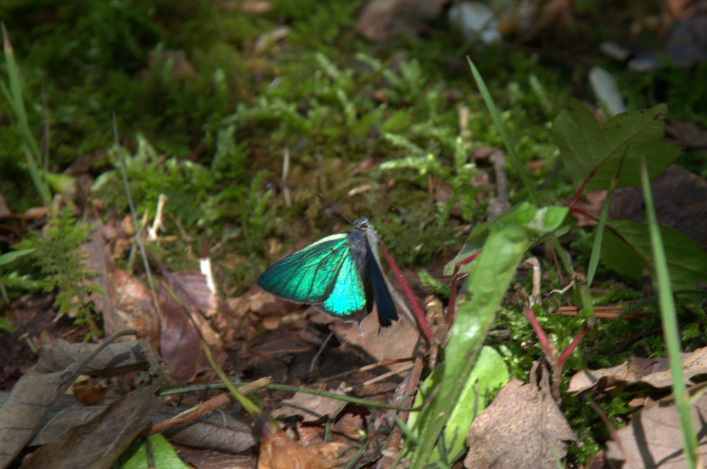 d0098057_419523.jpg