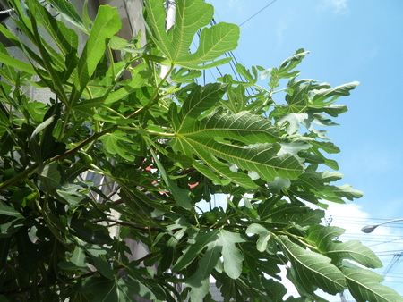 b0167759_14332446.jpg