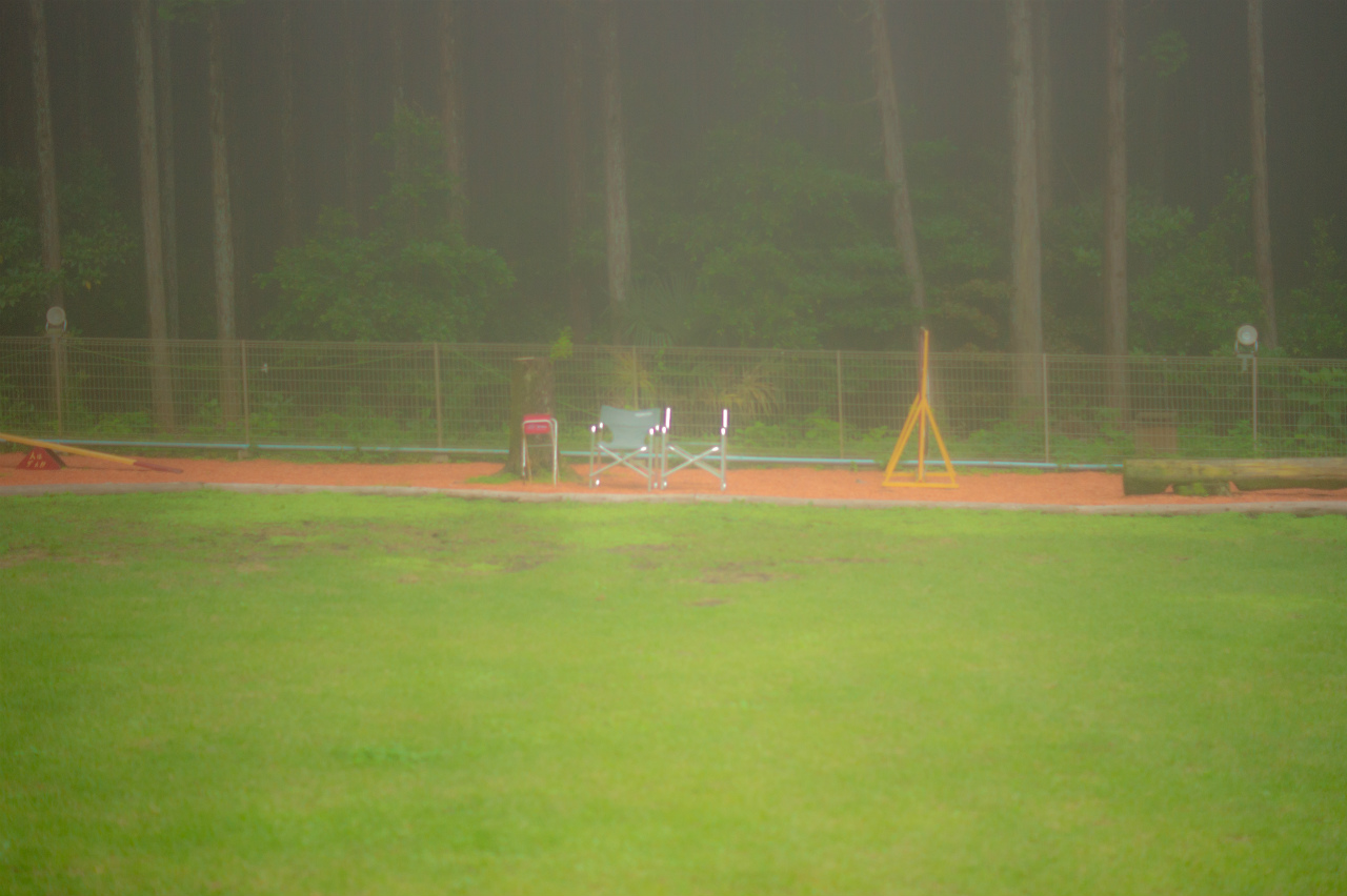 c0260264_2123434.jpg
