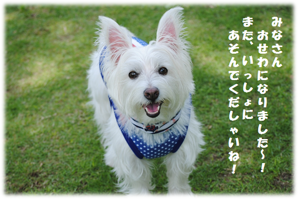 b0242873_23543560.png