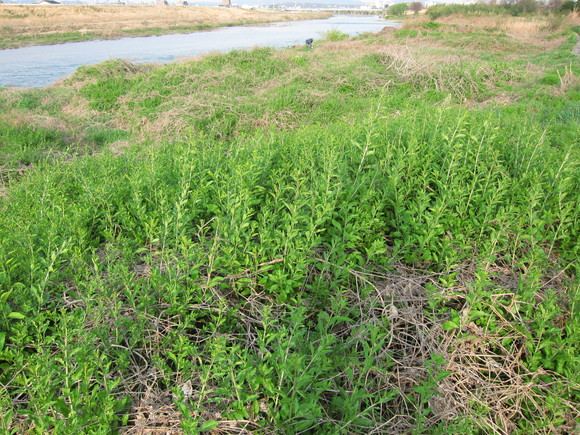e0205374_2119848.jpg