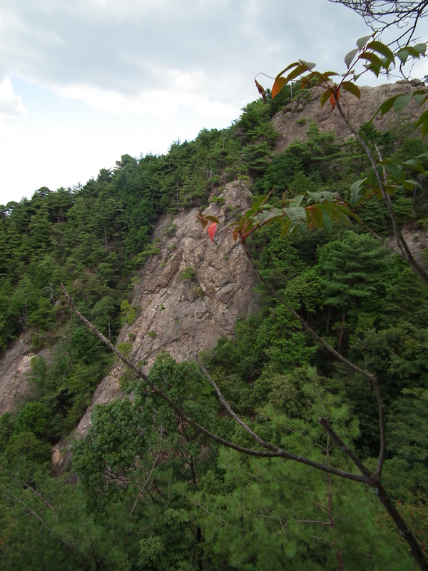 c0019376_12325747.jpg