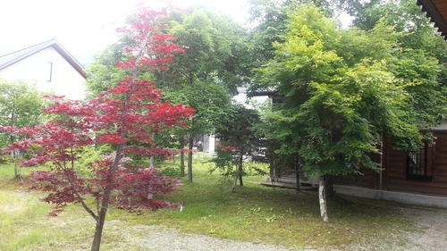 b0192878_21233921.jpg