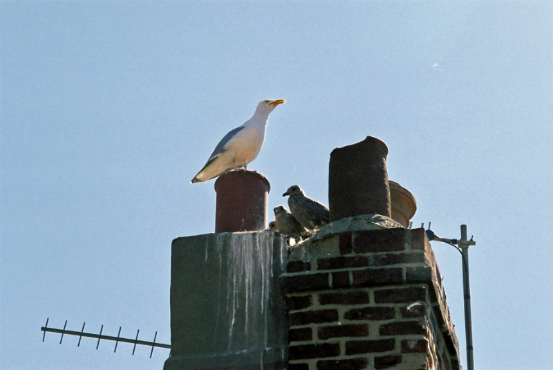 b0178479_2033136.jpg
