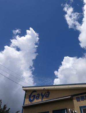 e0130185_11435535.jpg