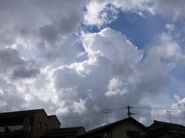 e0130185_20572899.jpg