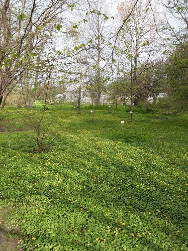 b0119493_18494160.jpg