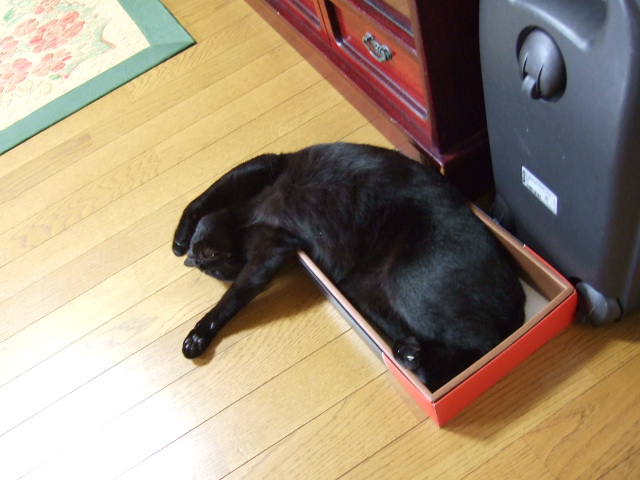 c0150193_20582639.jpg