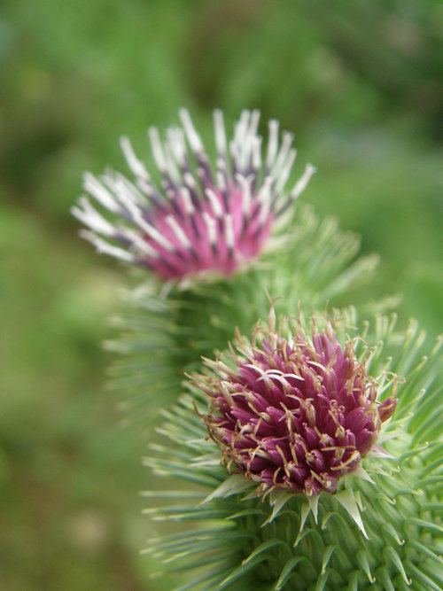 e0017396_0191552.jpg